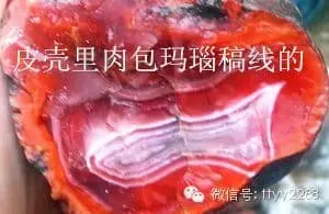 南紅瑪瑙為什么貴？帶你領略原石的風采 圖