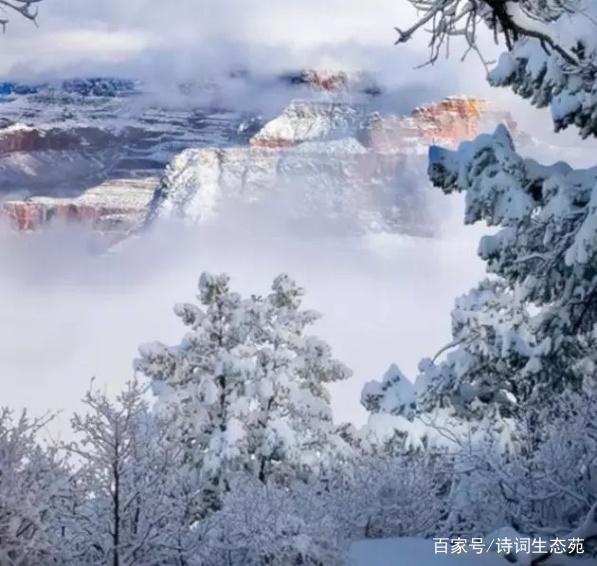 每日一石：雅賞黃河文字石《沁園春·雪》 圖