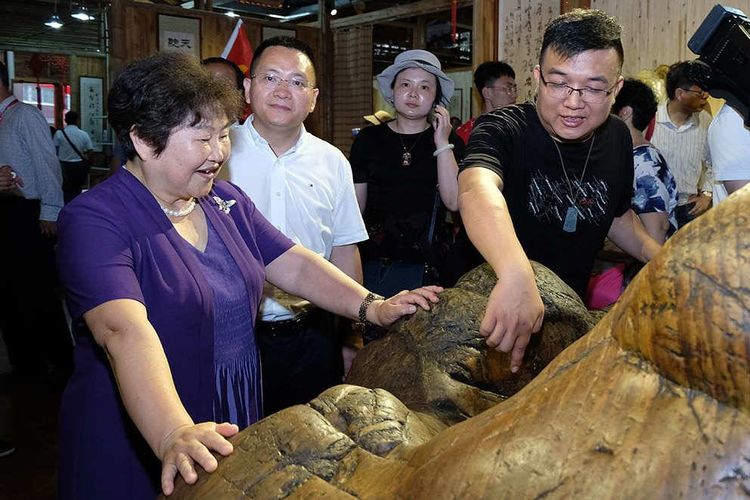 推動海峽兩岸賞石文化交流 漳州干得漂亮