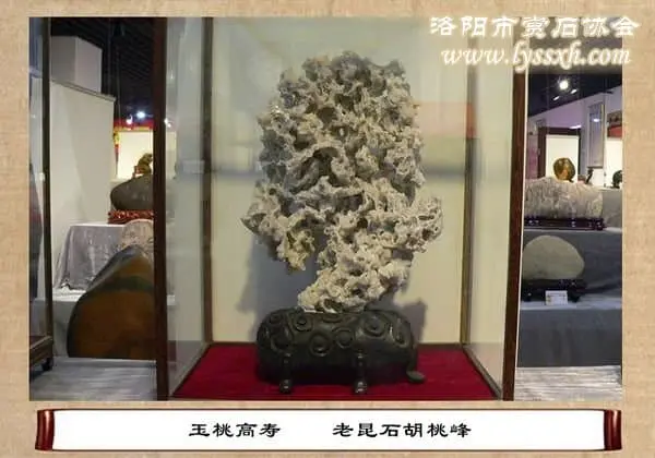 第十屆中國賞石展金獎(三)