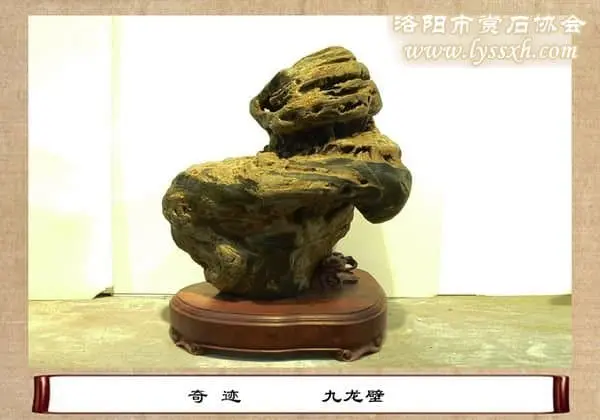 第十屆中國賞石展金獎(五)