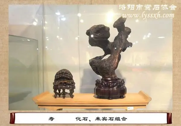 第十屆中國賞石展金獎(六)