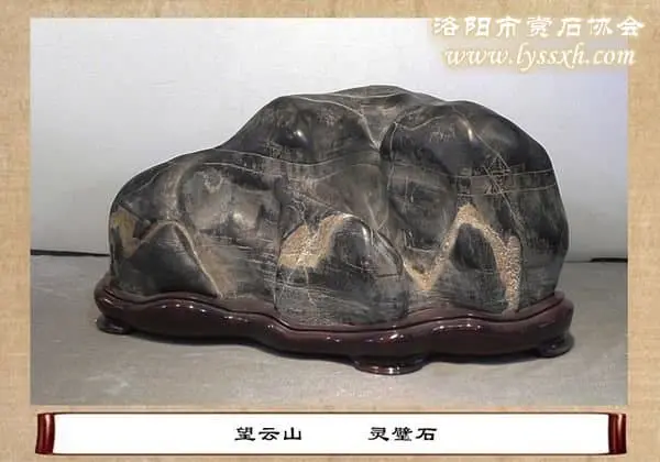 第十屆中國賞石展金獎(七)