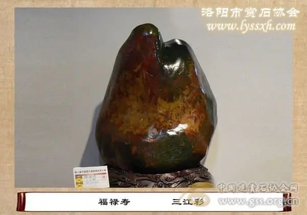 第十屆中國賞石展金獎(九)