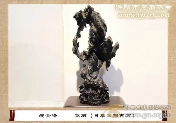 第十屆中國賞石展金獎(九)