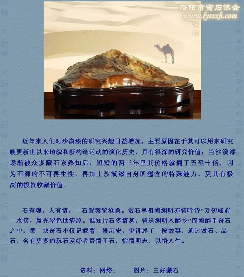 沙漠漆——茫茫戈壁之驕子（圖）