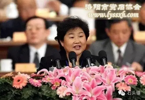 她是中國觀賞石協會之母——記原國土資源部副部長：壽嘉華女士