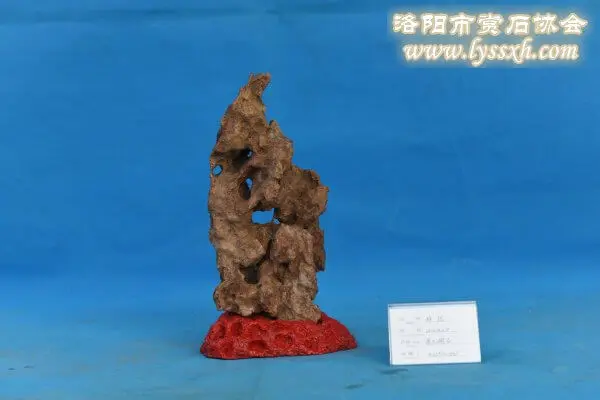 2016中國（洛陽）賞石文化藝術展參展作品 續二十三