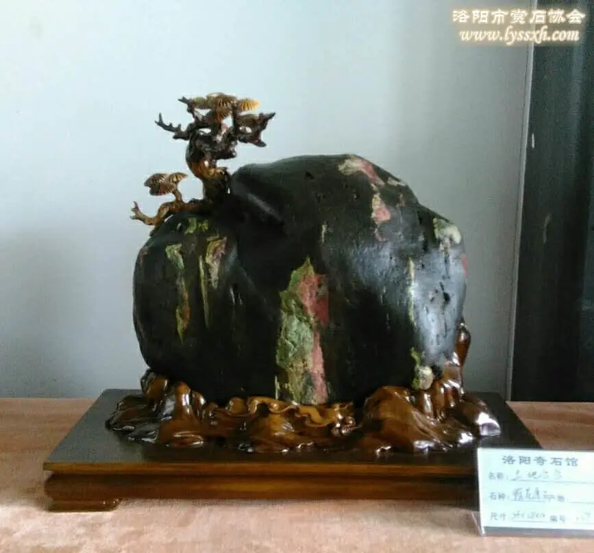 洛陽石展上荷花石驚艷亮相 圖