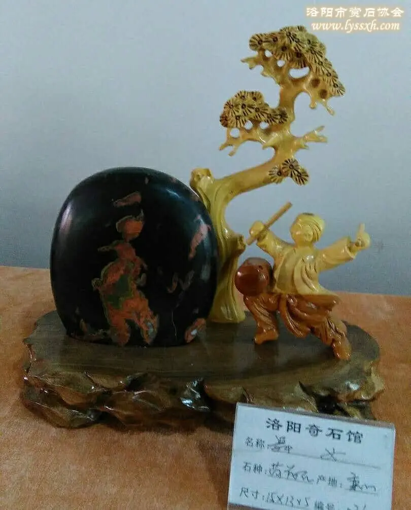 洛陽石展上荷花石驚艷亮相 圖