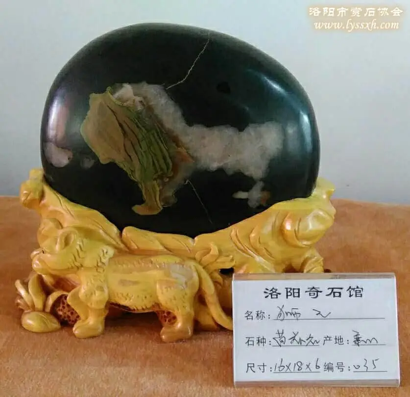 洛陽石展上荷花石驚艷亮相 圖