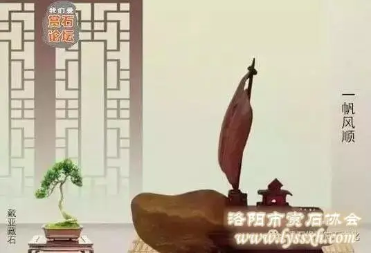 有一種幸福，叫雅石相伴！ 圖