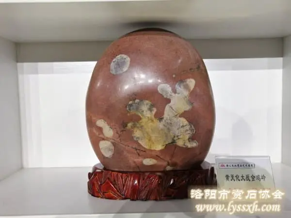 洛陽周公廟博物館周公文化賞石藝術展覽開幕