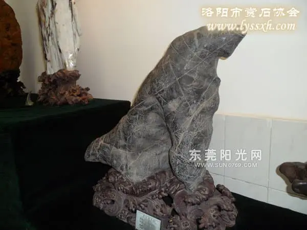 弘揚賞石文化 廣東石龍辦石展