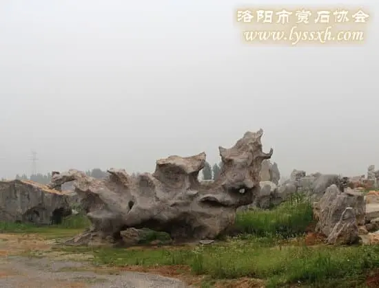 漫步第三屆2013中國（費縣）國際賞石旅游文化節