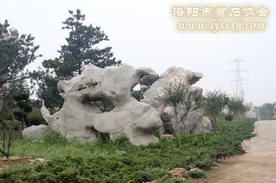 漫步第三屆2013中國（費縣）國際賞石旅游文化節