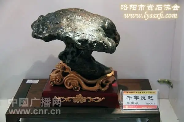 2013蘭州黃河石精品展作品欣賞