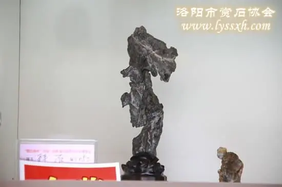 山西展會金獎作品欣賞（組圖）