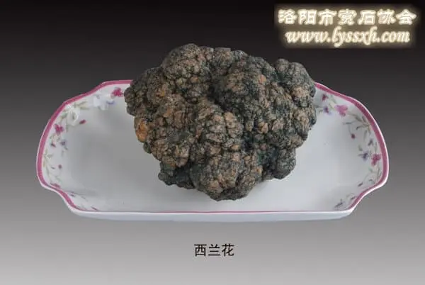 中華美石(食)大觀 （組圖）