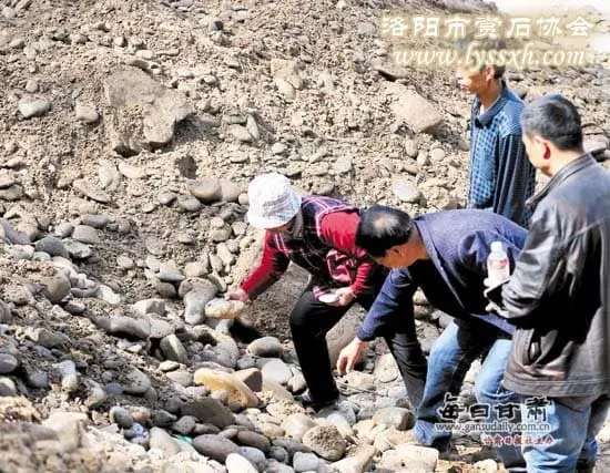 黃河蘭州段河道疏浚人們盼撿漏 組圖 