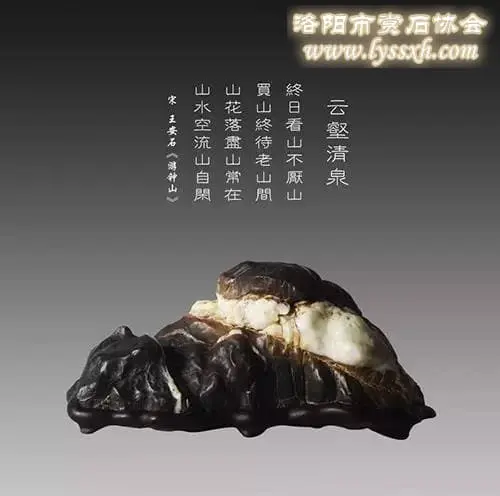 奇石，魅力使然無盡的誘惑 圖