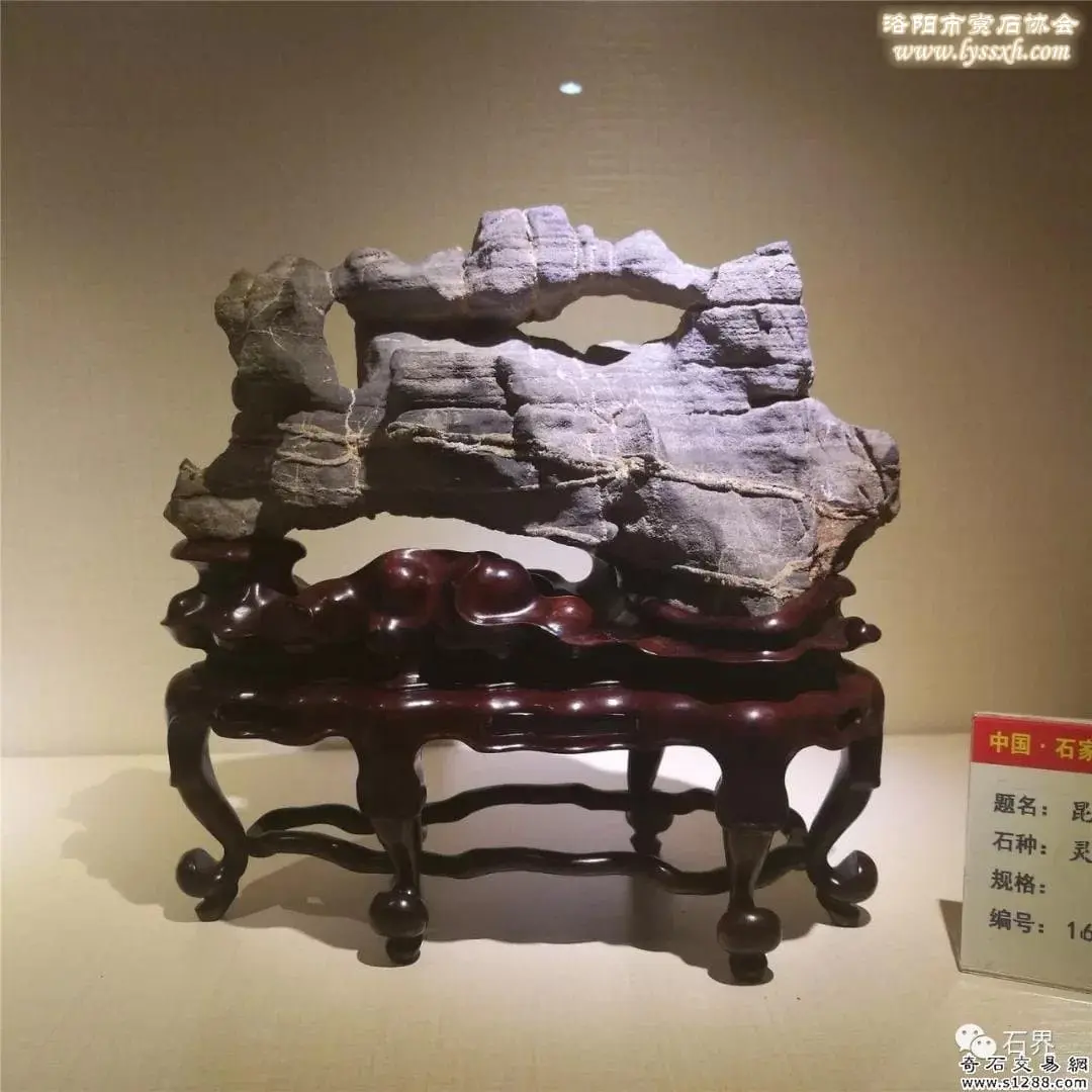 石家莊石展 | 精品展搶先看 圖