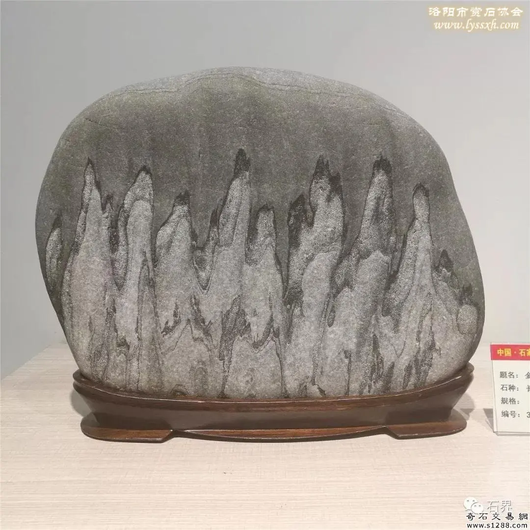 石家莊石展 | 精品展搶先看 圖