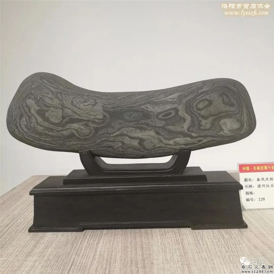 石家莊石展 | 精品展搶先看 圖