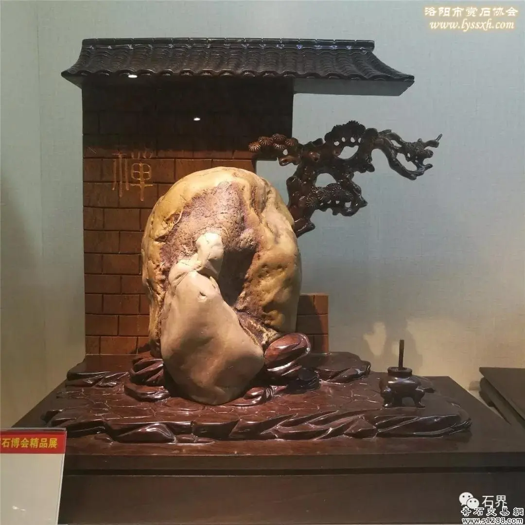 石家莊石展 | 精品展搶先看 圖