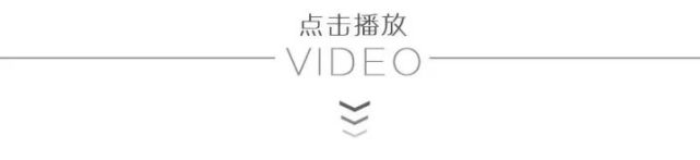 《8.30全國賞石日》暨奇石精品展隆重開幕