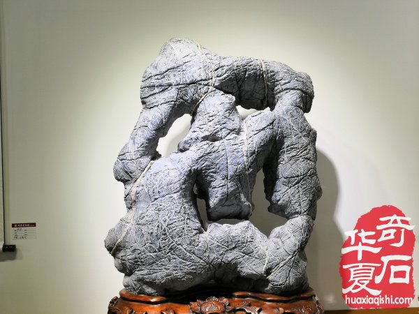 觀象博物館·中國賞石理論建構學術研討會暨靈璧石精品展隆重召開 圖