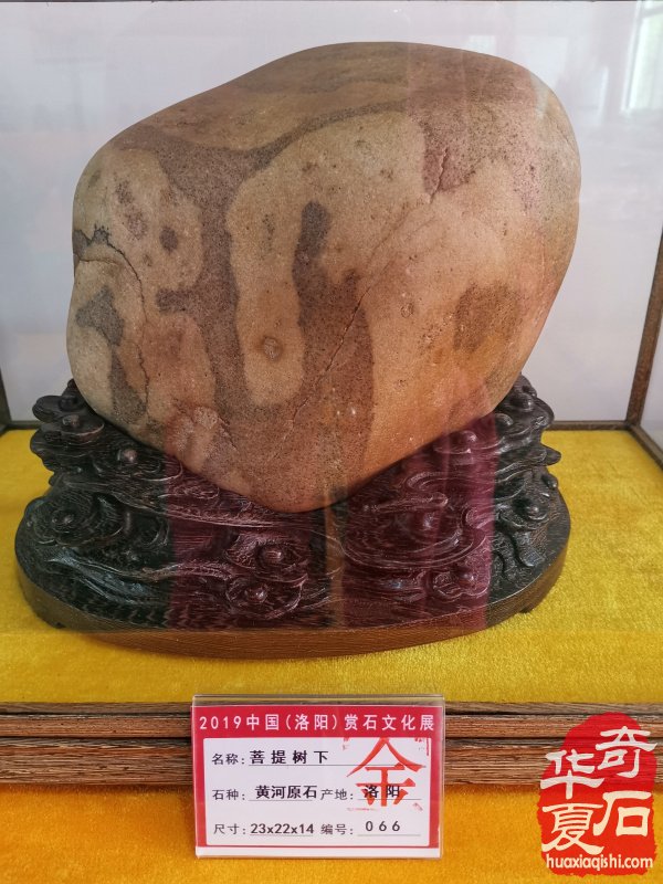 2019薈萃天下精品美石 洛陽石展金獎回放 圖