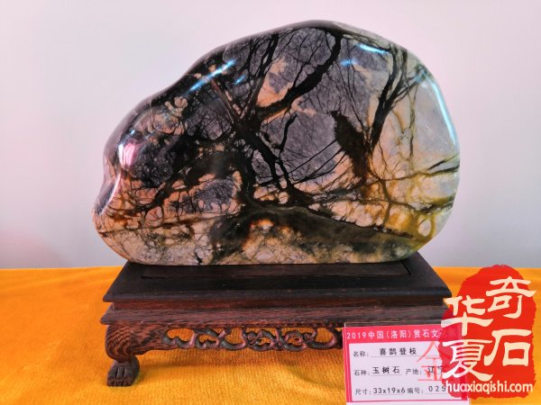 2019中國（洛陽）石展金獎回放 圖