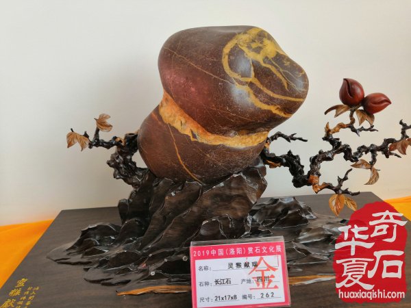 2019中國（洛陽）石展金獎回放 圖