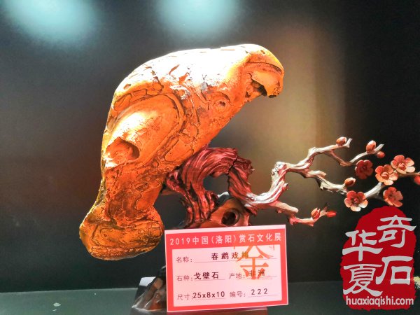 2019中國（洛陽）石展金獎回放 圖