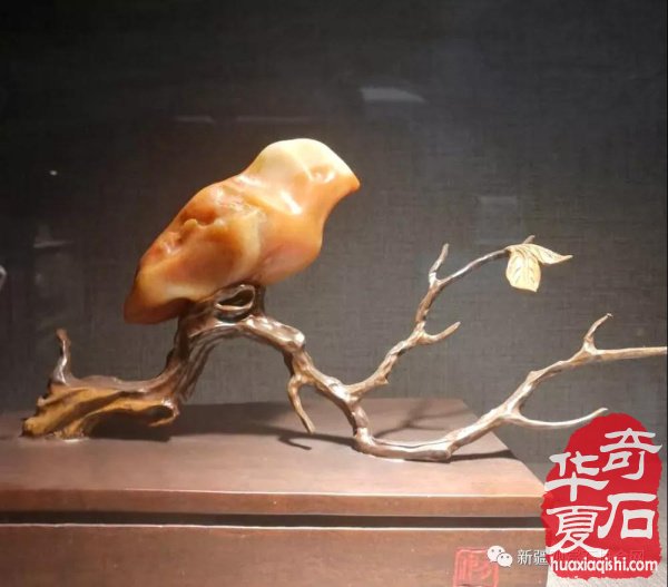 [關注]“新疆賞石四聯展 譜寫絲路新畫卷”