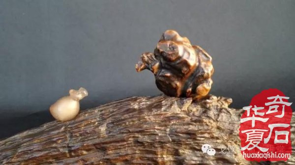 為石商，多請買家！ 《小雞出殼》的故鄉 6月9日有大展！