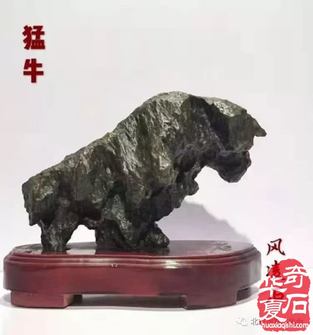 新疆托克遜愛石頭的楊國良及其藏品 圖