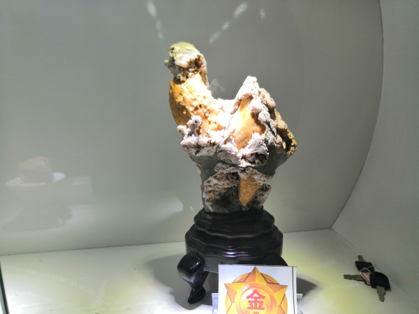 平頂山市奇石寶玉石文化藝術博覽金獎作品