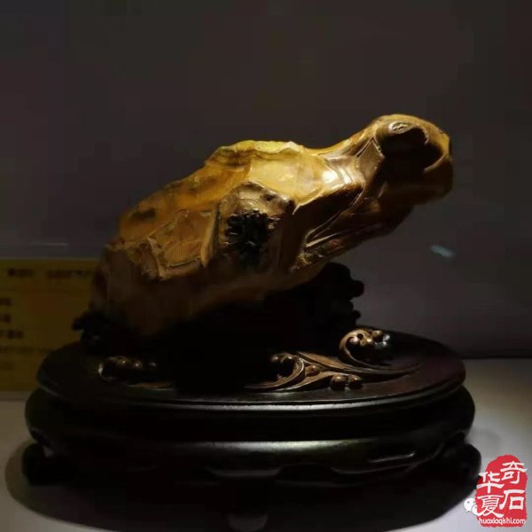 晉中石展：精品展美石搶先看 組圖