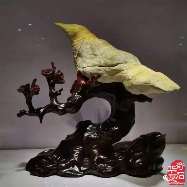 晉中石展：精品展美石搶先看 組圖