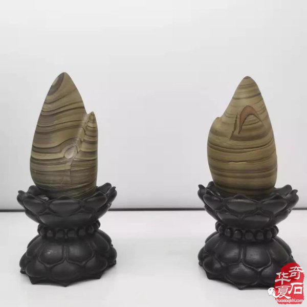 中國天津首屆運河杯賞石藝術展精品美石欣賞 