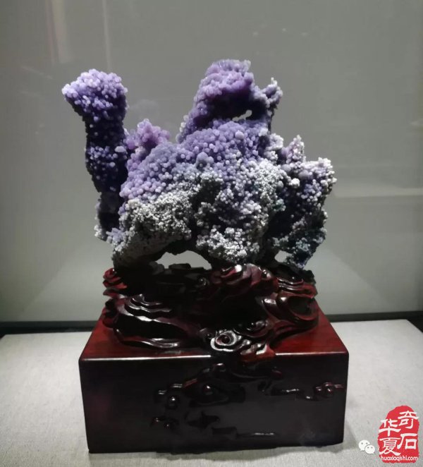 開展在即：上海現代賞石暨小品展精品搶先看