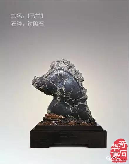 明年開春大展石家莊過往金獎作品回頭看 圖