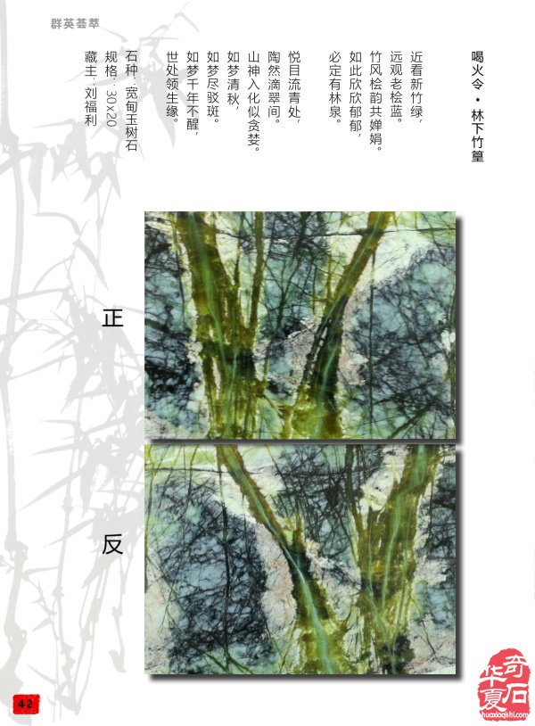 《于公賞石》為石友提供石界精彩信息 圖