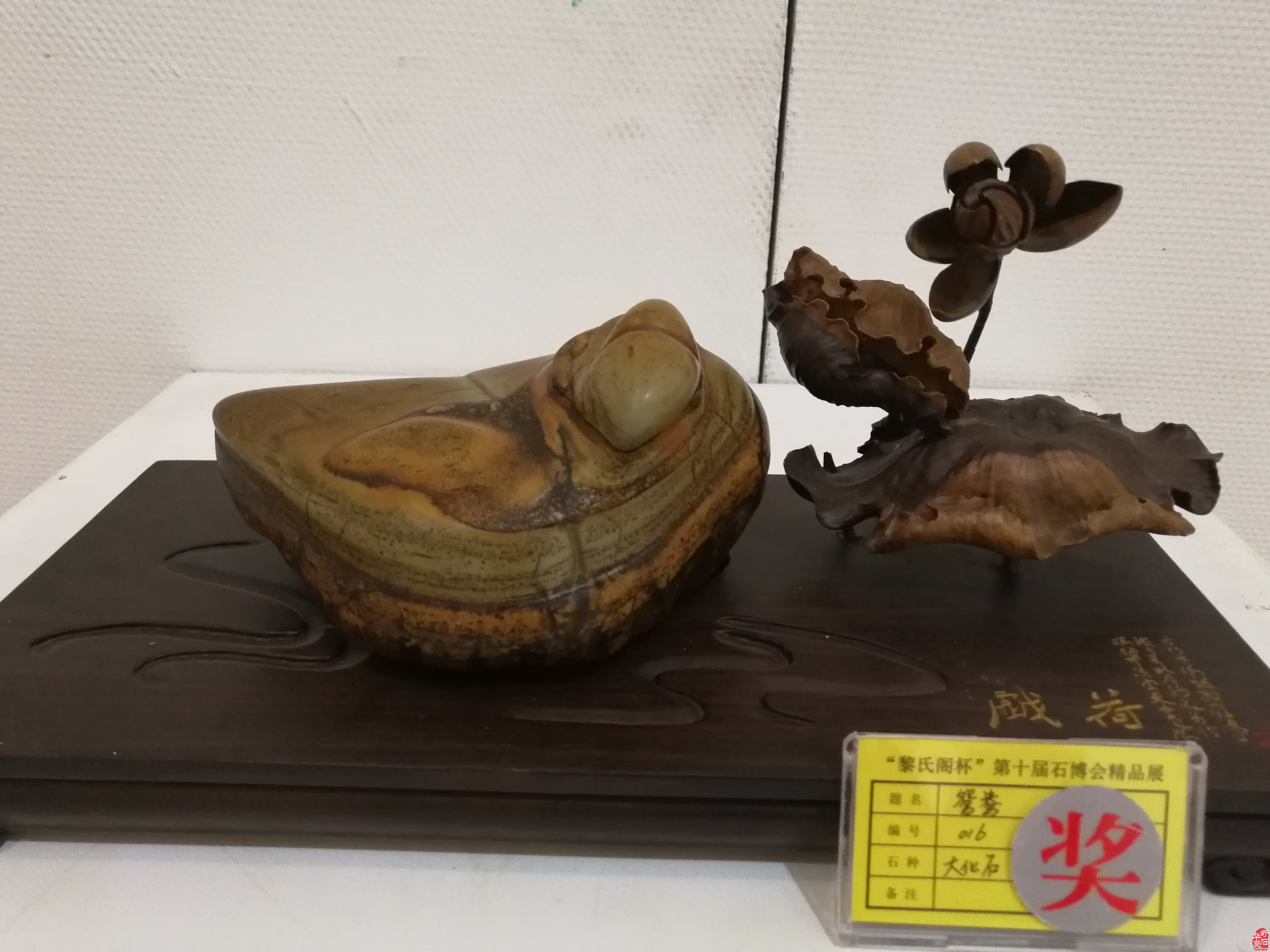 明天石界今年第一展“黎氏閣杯”賞石文化博覽會開展