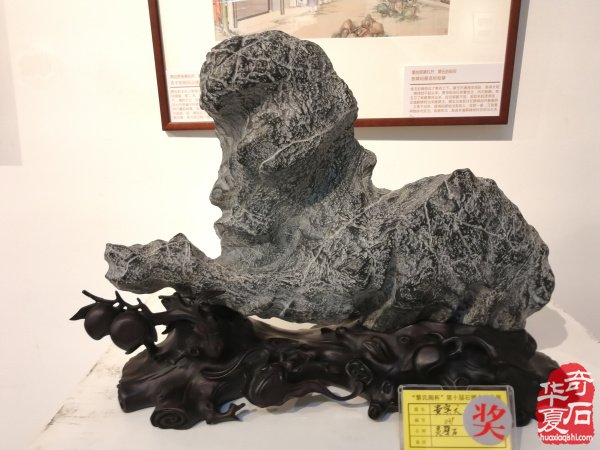 明天石界今年第一展“黎氏閣杯”賞石文化博覽會開展