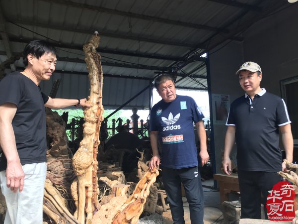 第五站 冀豫兩地賞石界高端參訪交流團到達桐柏