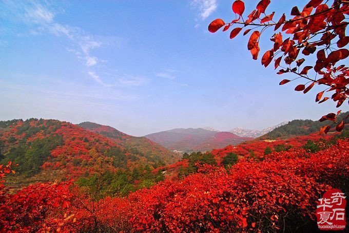 第五站 冀豫兩地賞石界高端參訪交流團到達桐柏