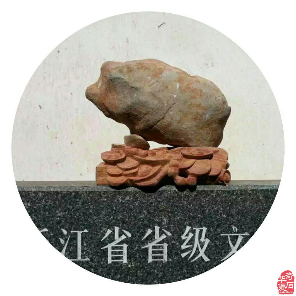 致美石灰姑娘的一封公開信 圖